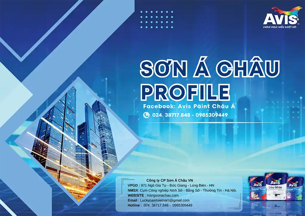 Hồ sơ năng lực AVIS